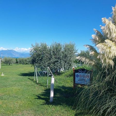 Agriturismo Al-Bor Lazise Exteriér fotografie