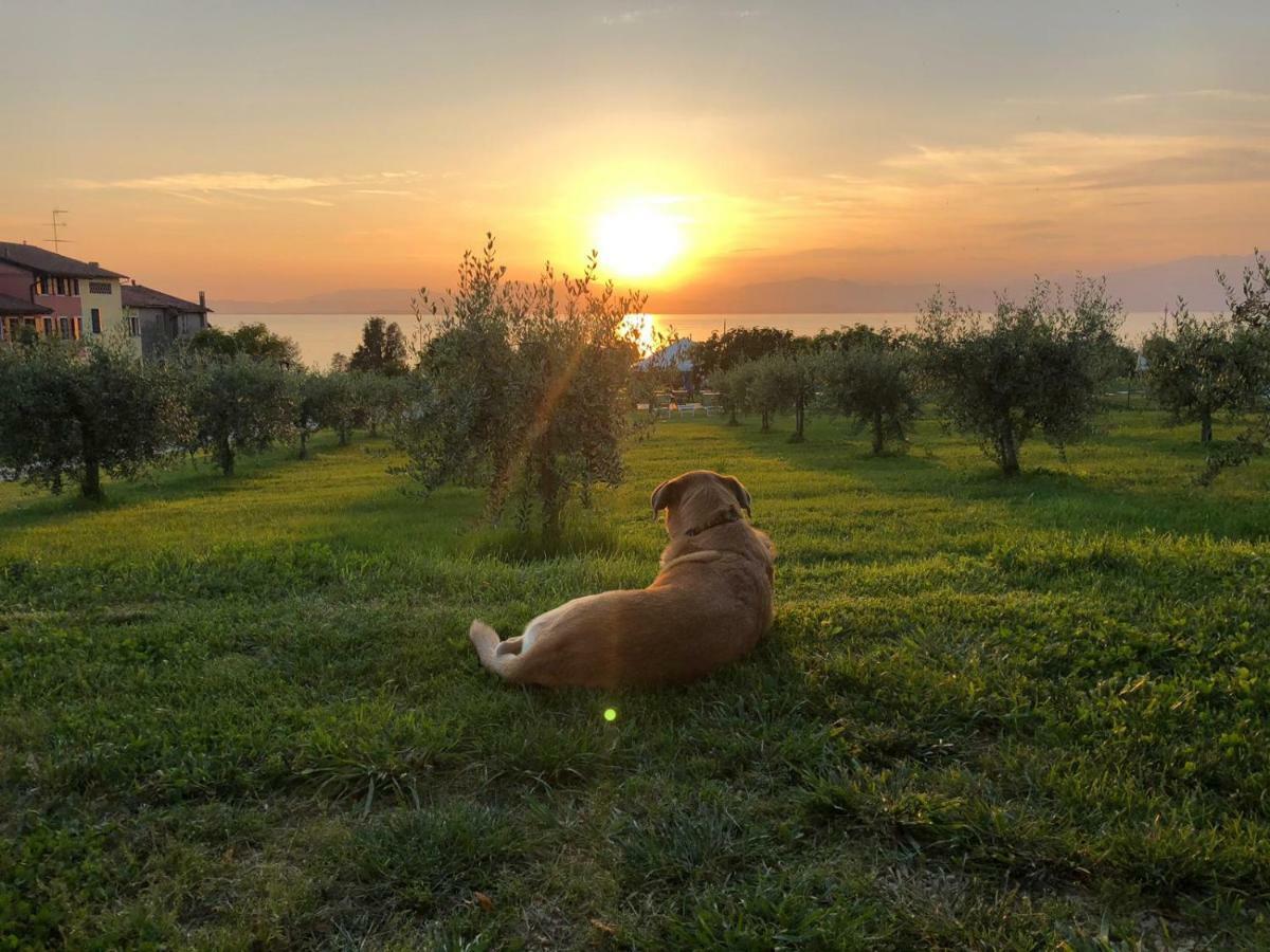Agriturismo Al-Bor Lazise Exteriér fotografie